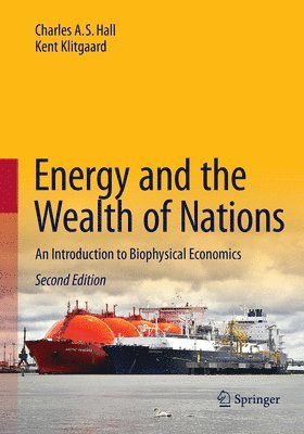 bokomslag Energy and the Wealth of Nations