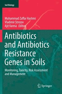 bokomslag Antibiotics and Antibiotics Resistance Genes in Soils