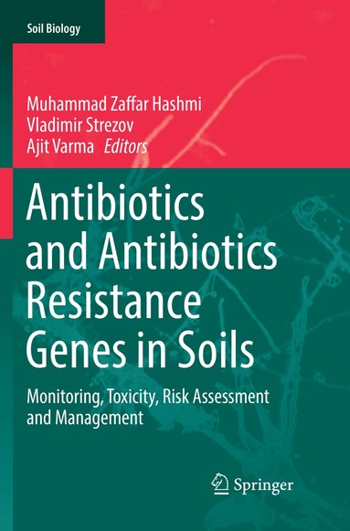Muhammad Zaffar Hashmi, Vladimir Strezov, Ajit Varma - Antibiotics and Antibiotics Resistance Genes in Soils, Häftad