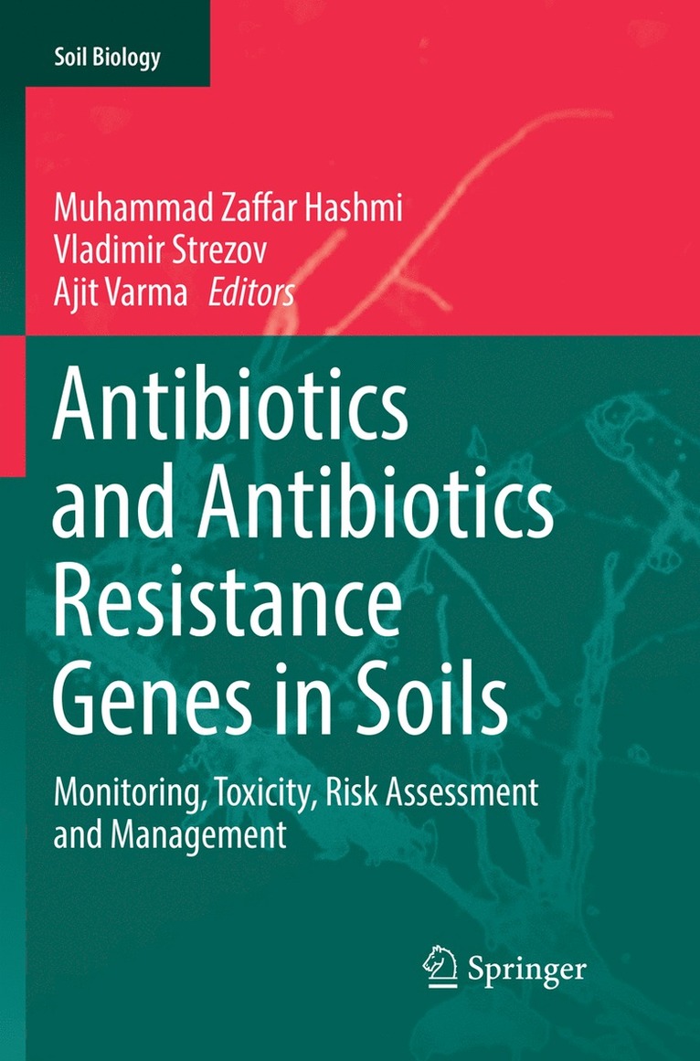 Muhammad Zaffar Hashmi, Vladimir Strezov, Ajit Varma - Antibiotics and Antibiotics Resistance Genes in Soils, Häftad