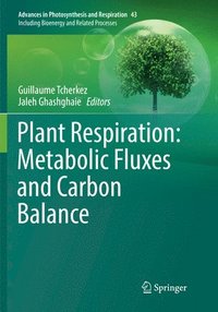 bokomslag Plant Respiration: Metabolic Fluxes and Carbon Balance