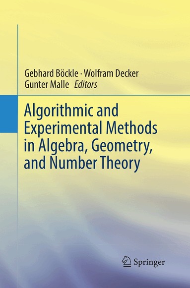 Gebhard Böckle, Wolfram Decker, Gunter Malle - Algorithmic and Experimental Methods in Algebra, Geometry, and Number Theory, Häftad