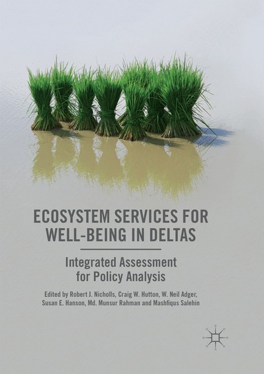 Robert J. Nicholls, Craig W. Hutton, W. Neil Adger, Susan E. Hanson, Md. Munsur Rahman, Mashfiqus Salehin - Ecosystem Services for Well-Being in Deltas, Häftad