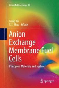 bokomslag Anion Exchange Membrane Fuel Cells