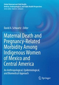 bokomslag Maternal Death and Pregnancy-Related Morbidity Among Indigenous Women of Mexico and Central America
