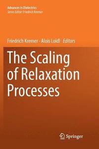 bokomslag The Scaling of Relaxation Processes