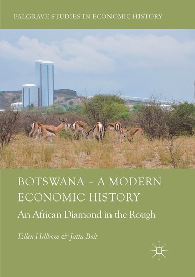 bokomslag Botswana - A Modern Economic History
