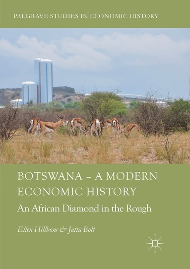 bokomslag Botswana  A Modern Economic History