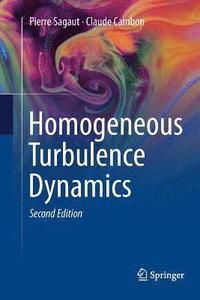 bokomslag Homogeneous Turbulence Dynamics