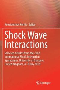 bokomslag Shock Wave Interactions
