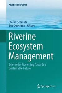 bokomslag Riverine Ecosystem Management