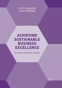 bokomslag Achieving Sustainable Business Excellence