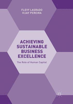Achieving Sustainable Business Excellence 1