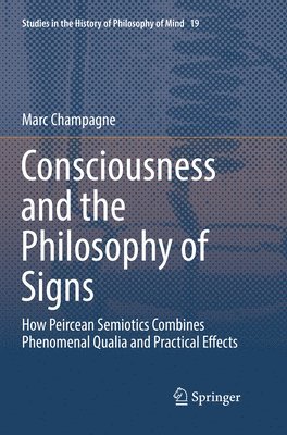 bokomslag Consciousness and the Philosophy of Signs