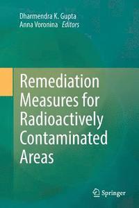 bokomslag Remediation Measures for Radioactively Contaminated Areas