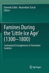 bokomslag Famines During the ?Little Ice Age? (1300-1800)