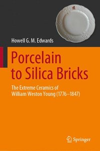 bokomslag Porcelain to Silica Bricks
