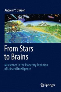 bokomslag From Stars to Brains: Milestones in the Planetary Evolution of Life and Intelligence