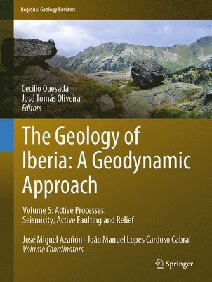 bokomslag Geology of Iberia: A Geodynamic Approach