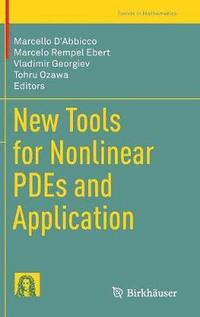 bokomslag New Tools for Nonlinear PDEs and Application