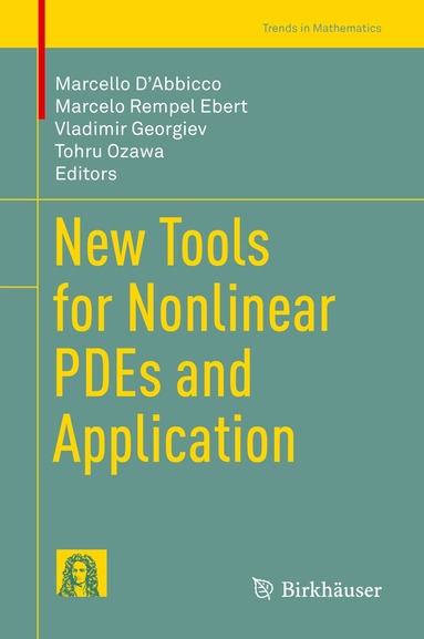 Marcello D'Abbicco, Marcelo Rempel Ebert, Vladimir Georgiev, Tohru Ozawa - New Tools for Nonlinear PDEs and Application, Inbunden
