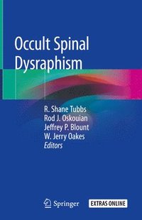 bokomslag Occult Spinal Dysraphism