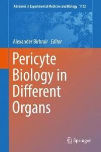 bokomslag Pericyte Biology in Different Organs