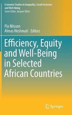 bokomslag Efficiency, Equity and Well-Being in Selected African Countries