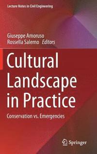 bokomslag Cultural Landscape in Practice