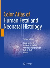 bokomslag Color Atlas of Human Fetal and Neonatal Histology