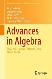 bokomslag Advances in Algebra