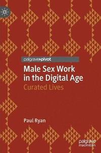 bokomslag Male Sex Work in the Digital Age