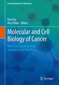 bokomslag Molecular and Cell Biology of Cancer