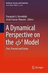 bokomslag A Dynamical Perspective on the 4  Model