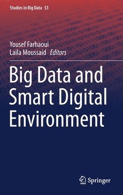 bokomslag Big Data and Smart Digital Environment