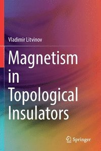 bokomslag Magnetism in Topological Insulators