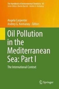 bokomslag Oil Pollution in the Mediterranean Sea: Part I