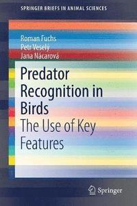 bokomslag Predator Recognition in Birds