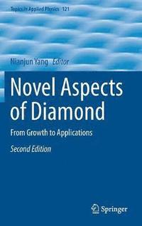 bokomslag Novel Aspects of Diamond