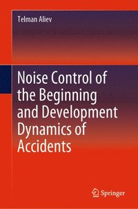 bokomslag Noise Control of the Beginning and Development Dynamics of Accidents