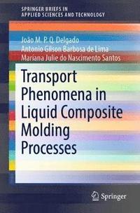 bokomslag Transport Phenomena in Liquid Composite Molding Processes