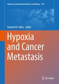 bokomslag Hypoxia and Cancer Metastasis