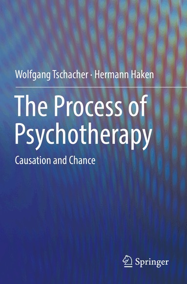Wolfgang Tschacher, Hermann Haken - Process of Psychotherapy, Häftad