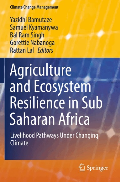 Yazidhi Bamutaze, Samuel Kyamanywa, Bal Ram Singh, Gorettie Nabanoga, Rattan Lal - Agriculture and Ecosystem Resilience in Sub Saharan Africa, Häftad