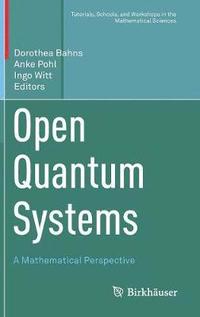 bokomslag Open Quantum Systems