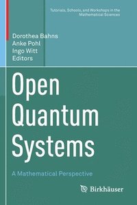 bokomslag Open Quantum Systems