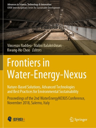 Vincenzo Naddeo, Malini Balakrishnan, Kwang-Ho Choo - Frontiers in Water-Energy-Nexus—Nature-Based Solutions, Advanced Technologies and Best Practices for Environmental Sustainability, Häftad