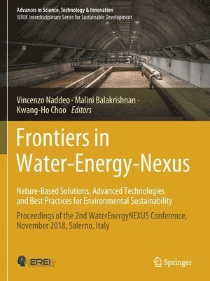 bokomslag Frontiers in Water-Energy-NexusNature-Based Solutions, Advanced Technologies and Best Practices for Environmental Sustainability
