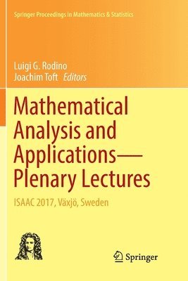 bokomslag Mathematical Analysis and ApplicationsPlenary Lectures