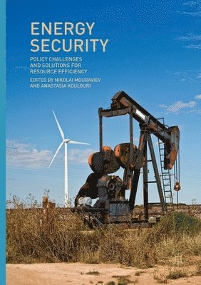 Nikolai Mouraviev, Anastasia Koulouri - Energy Security, Häftad